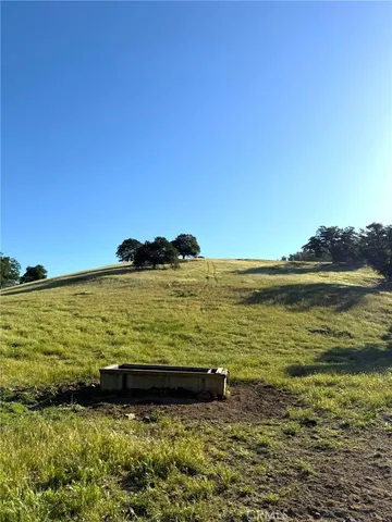 a view of a lake from a yard