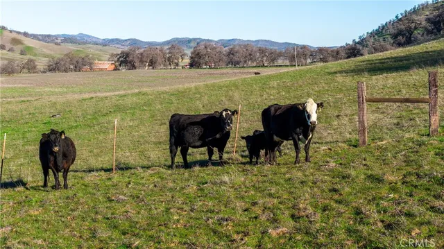 $2,500,000 | 3546 Huffmaster Road, Stonyford, CA 95979