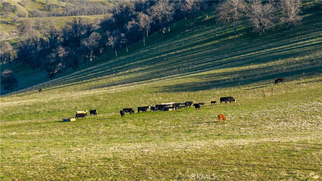 3546 Huffmaster Road Stonyford, CA 95979 - Photo 37 of 56 a view of a lake view