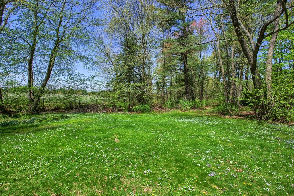 335 Ayer Road Harvard, MA 01451 - Photo 5 of 22 a view of yard
