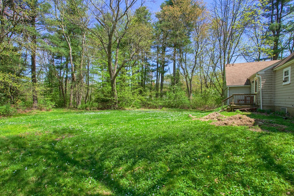 335 Ayer Road Harvard, MA 01451 - Photo 6 of 22 a view of backyard with green space