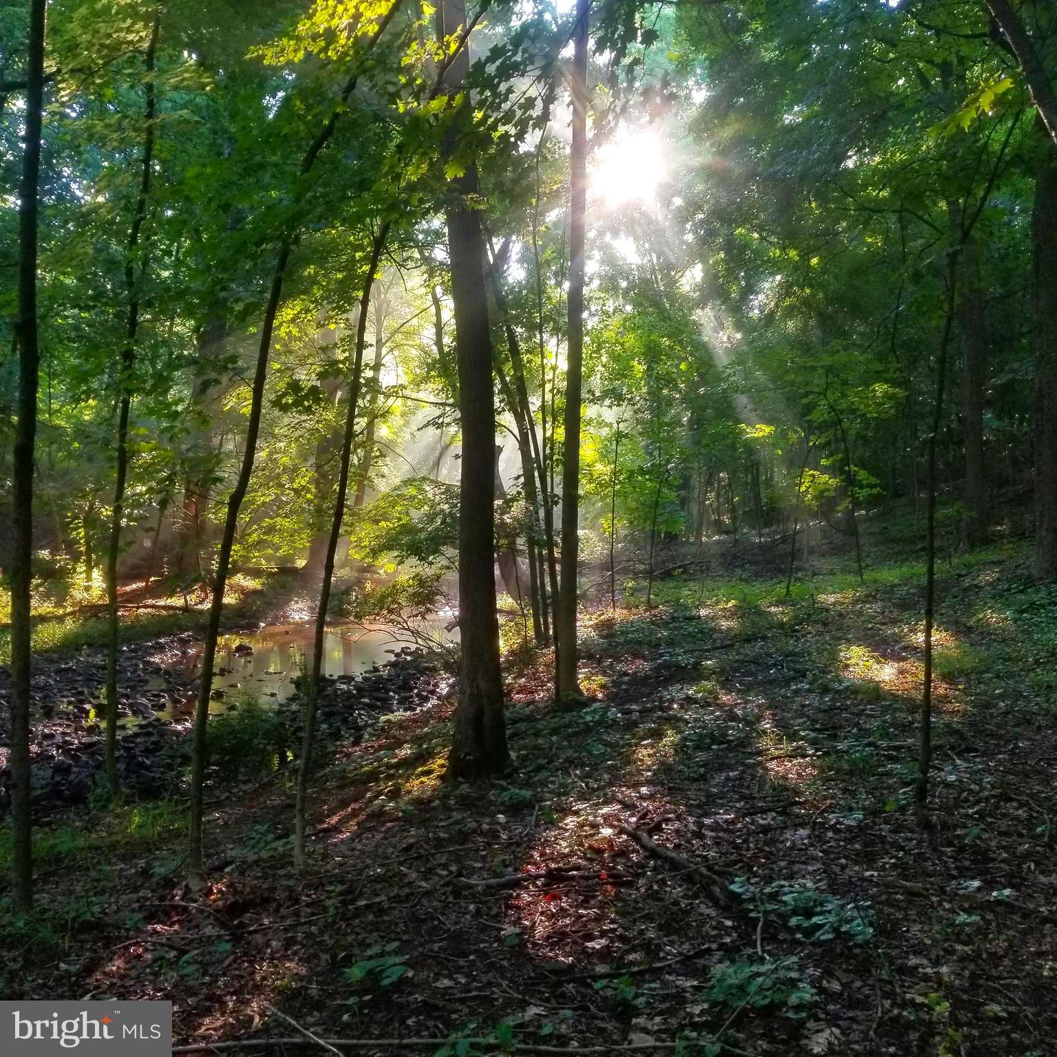 1185 Kepler Road Pottstown, PA 19464 - Photo 19 of 21 a backyard of a house with lots of green space