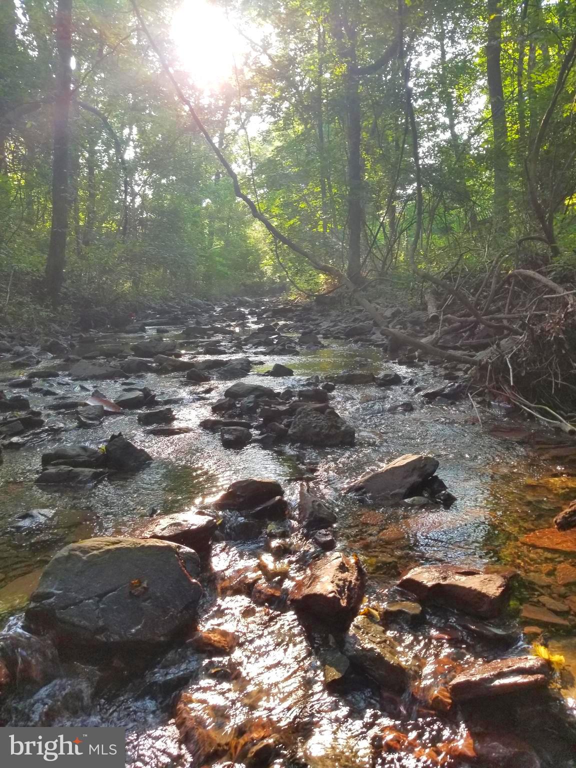 1185 Kepler Road Pottstown, PA 19464 - Photo 20 of 21 a view of a forest with trees