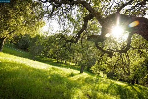 $2,598,000 | 5 Wanda Lane, Orinda, CA 94563