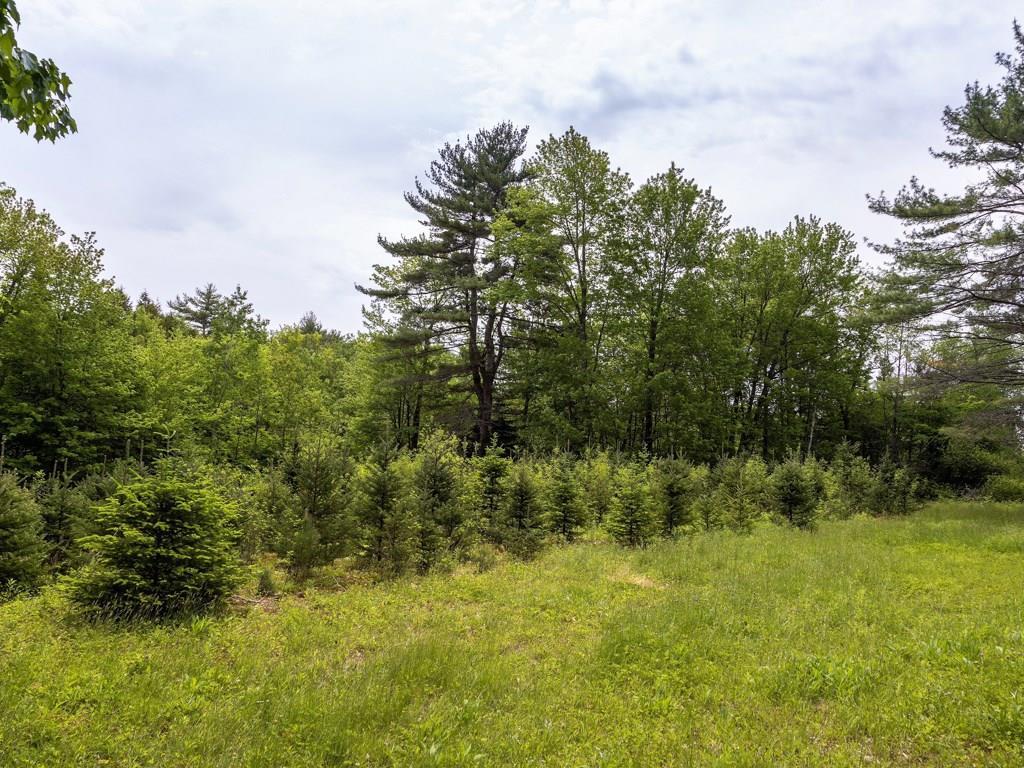 239 Tuttle Road Cumberland Center, ME 04021 - Photo 10 of 28 Photo