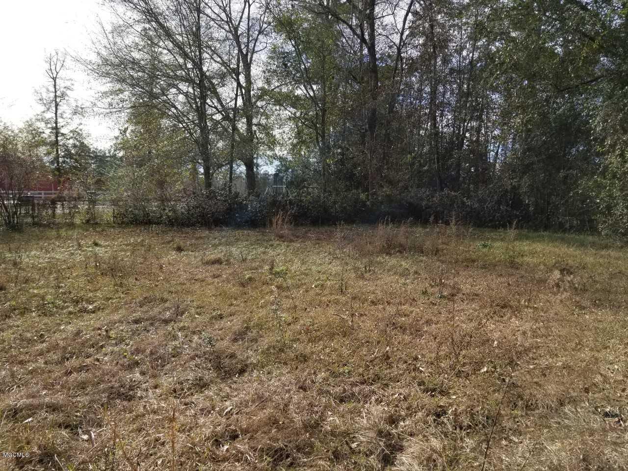 1505 Adcox Road Picayune, MS 39466 - Photo 4 of 43 1505 Adcox Rd-Backyard