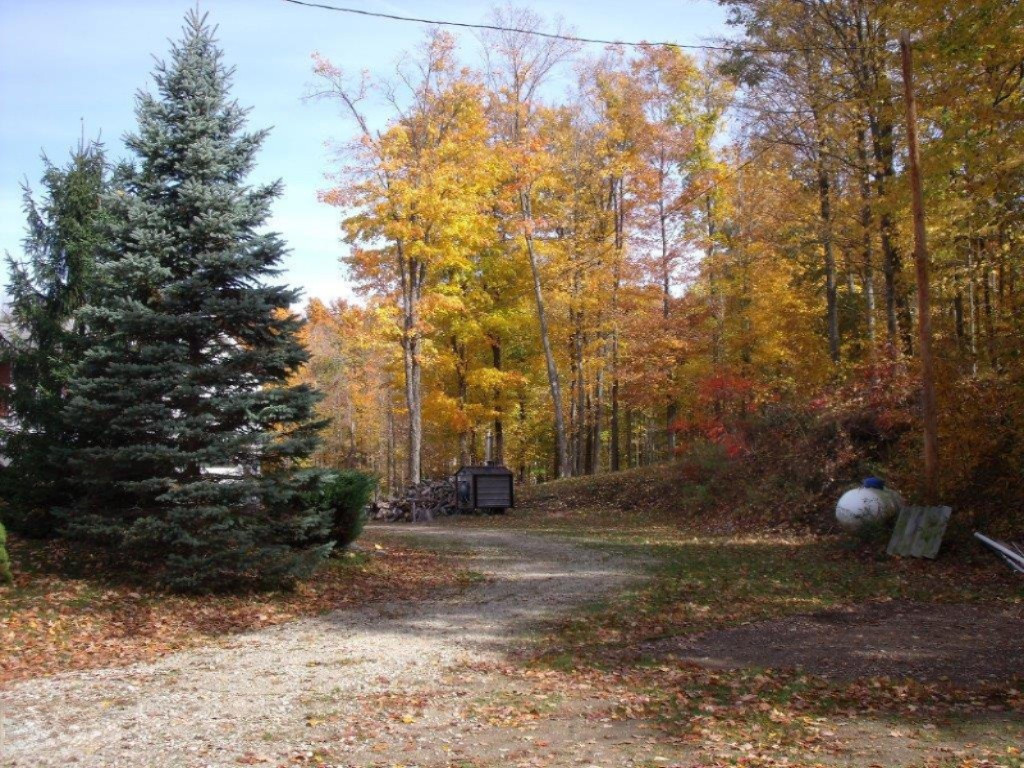8321 Cox Road Bellevue, MI 49021 - Photo 23 of 25 8321 Cox Rd