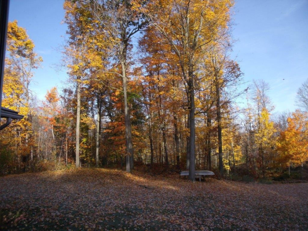 8321 Cox Road Bellevue, MI 49021 - Photo 24 of 25 8321 Cox Rd