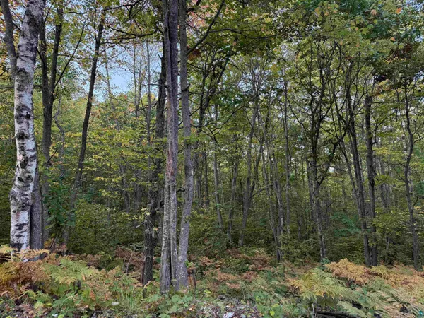 $74,900 | 0 Highway 2, Iron River, WI 54847