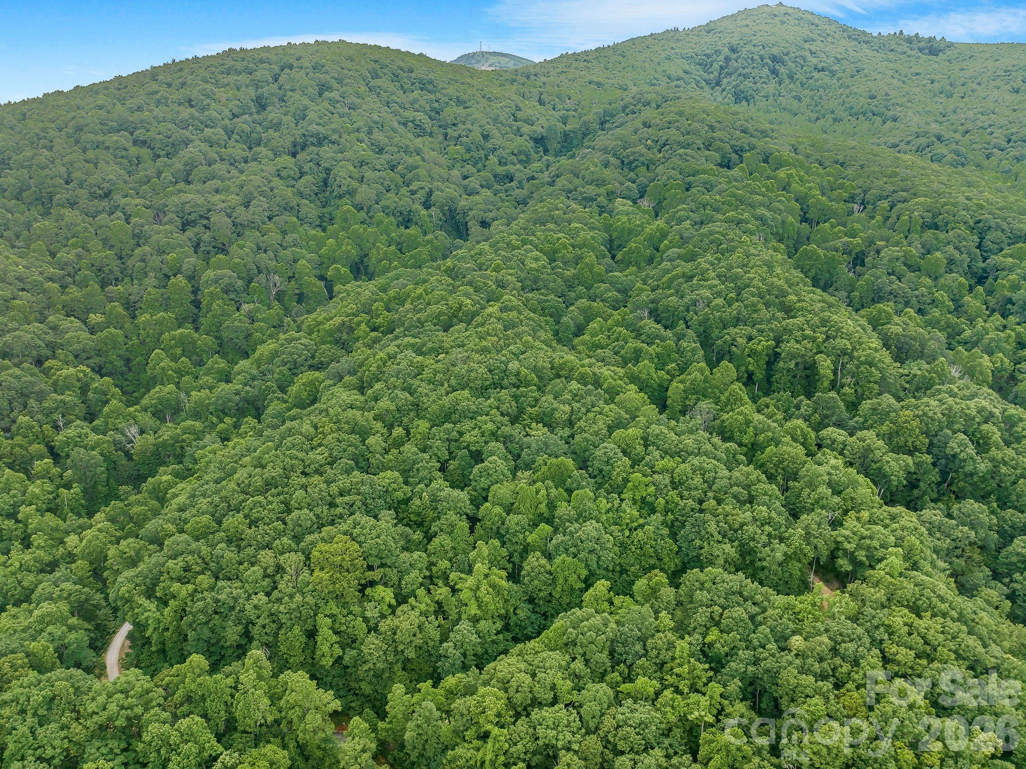 8 Carls Cove Road Hendersonville, NC 28792 - Photo 1 of 25