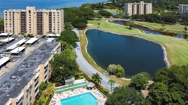 a view of a garden with plants