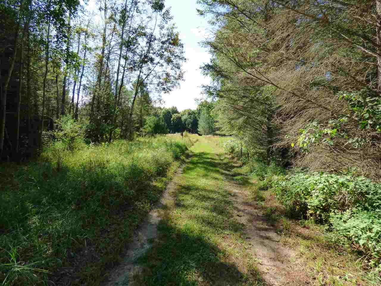 8771 Lynn Road Bellaire, MI 49615 - Photo 59 of 68 1867158-58.JPG
