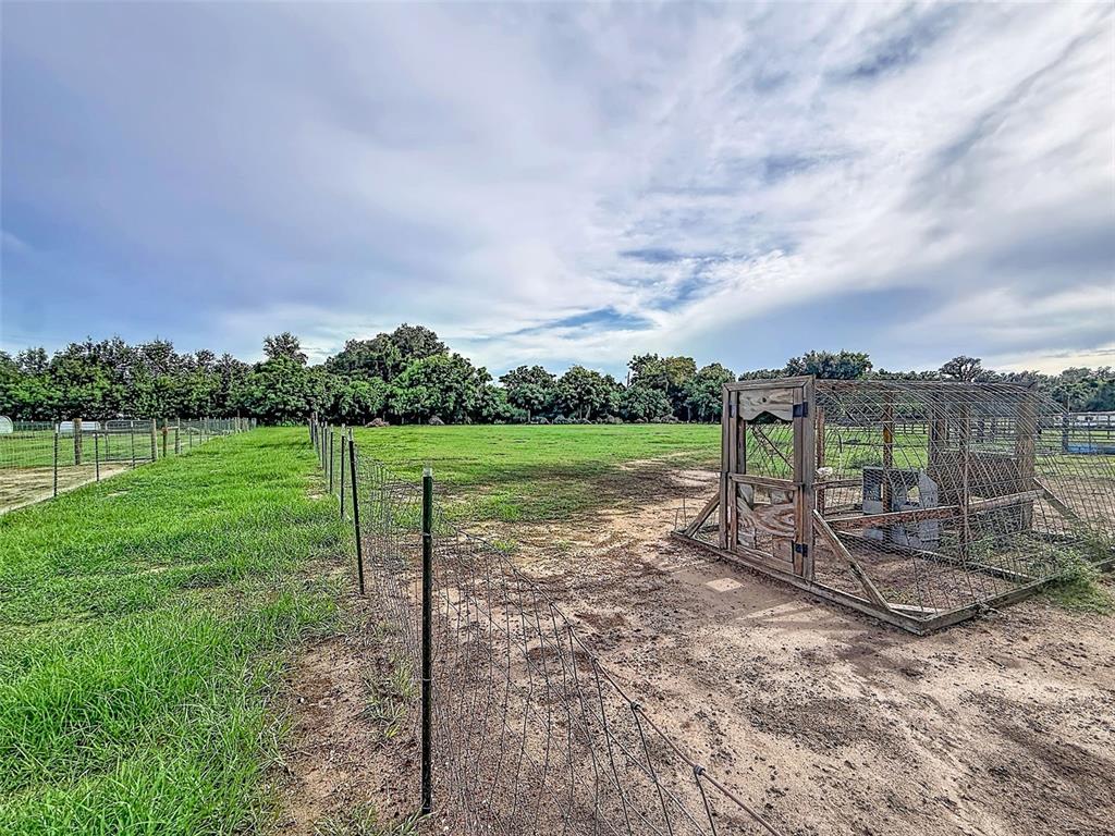 16736 Powerline Road Dade City, FL 33523 - Photo 53 of 77 Gallery Image 53