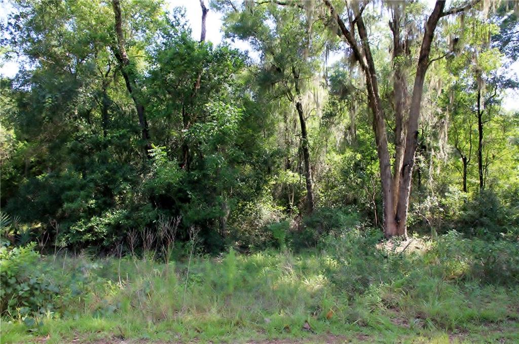 1949 South Farm Road DeLand, FL 32720 - Photo 1 of 1 1949 South Farm Rd in Gated Subdivision