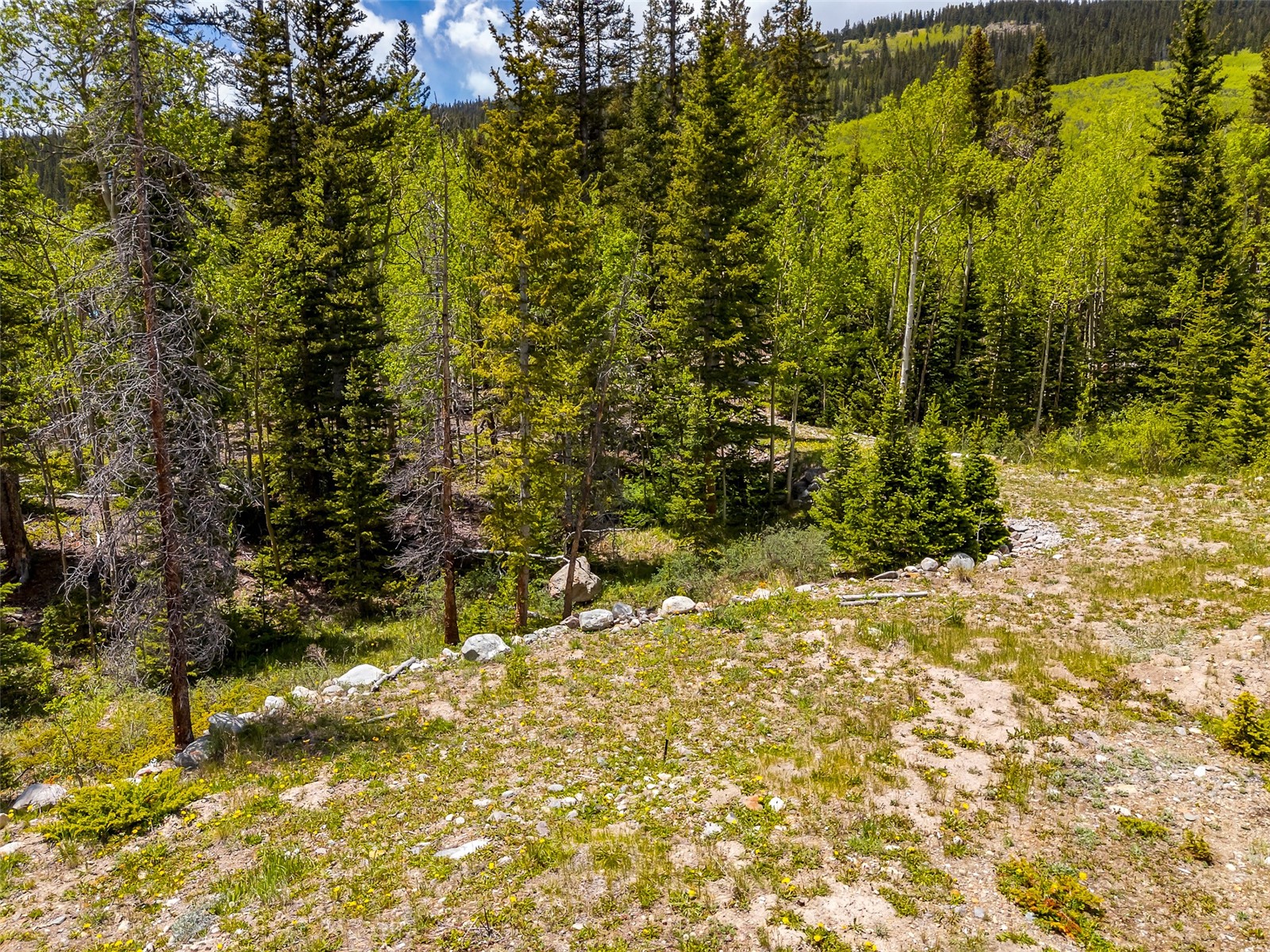 522 Quartzville Road Alma, CO 80420 - Photo 9 of 46