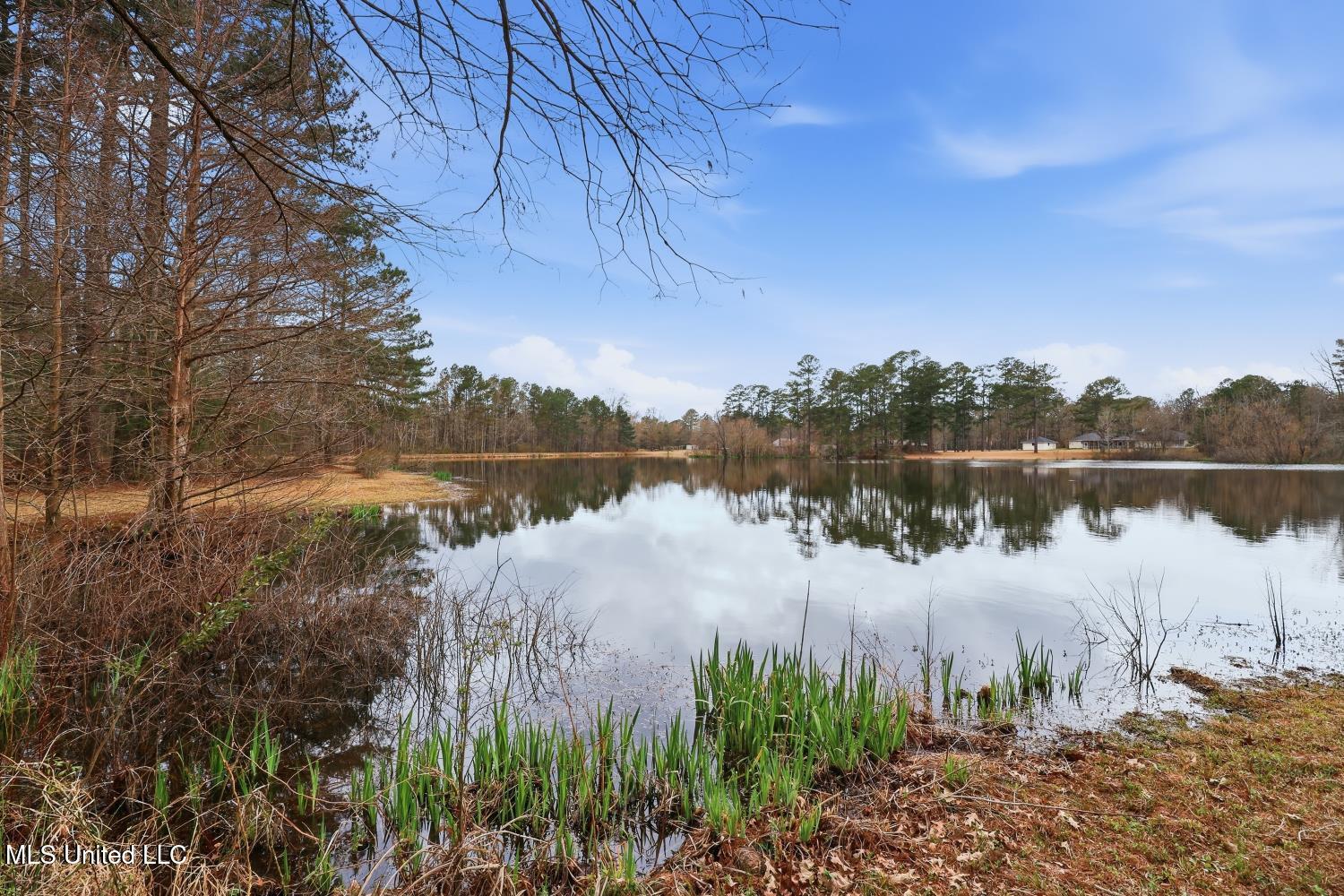 109 Springdale Drive Terry, MS 39170 - Photo 32 of 66 IMG_6645