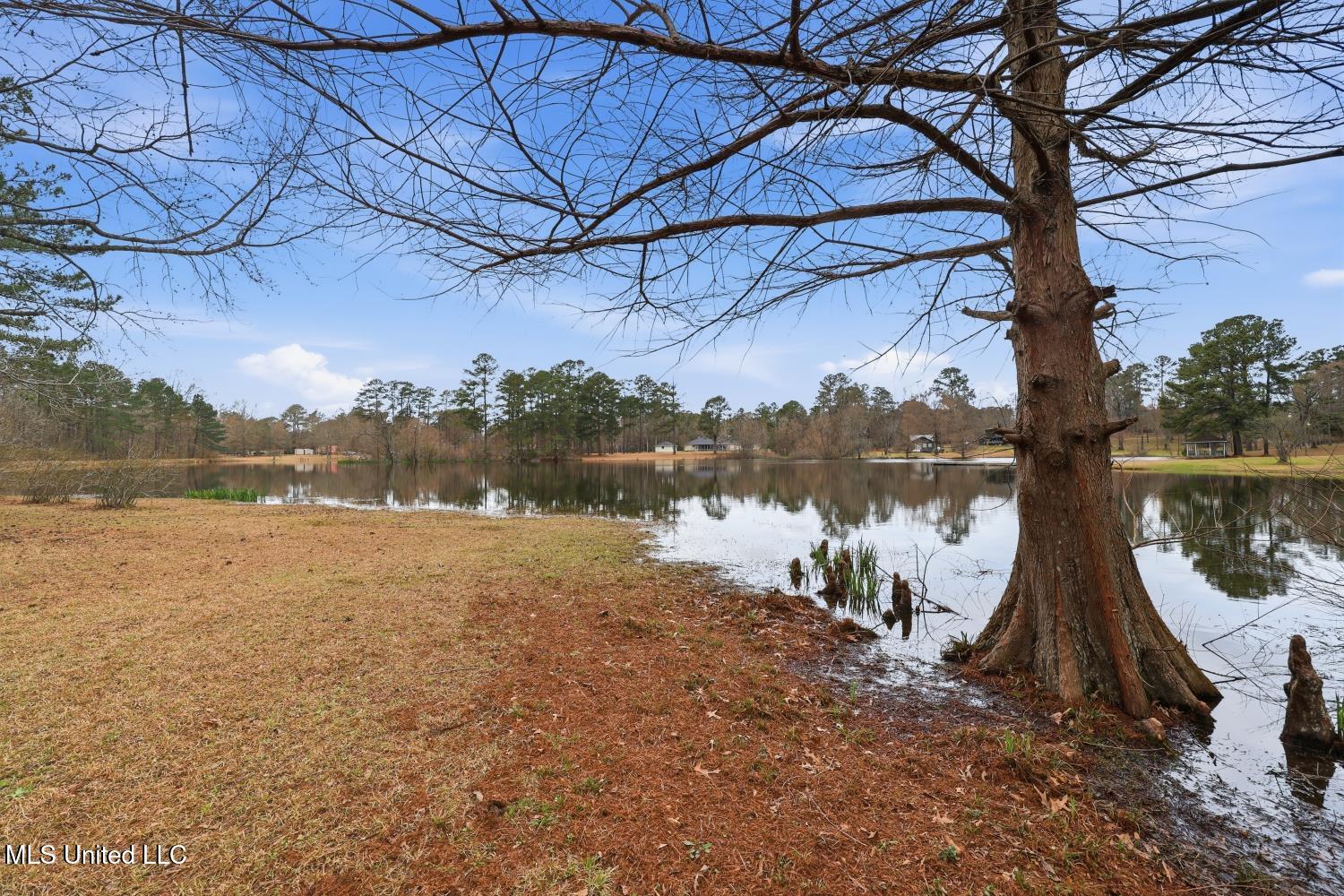 109 Springdale Drive Terry, MS 39170 - Photo 34 of 66 IMG_6647