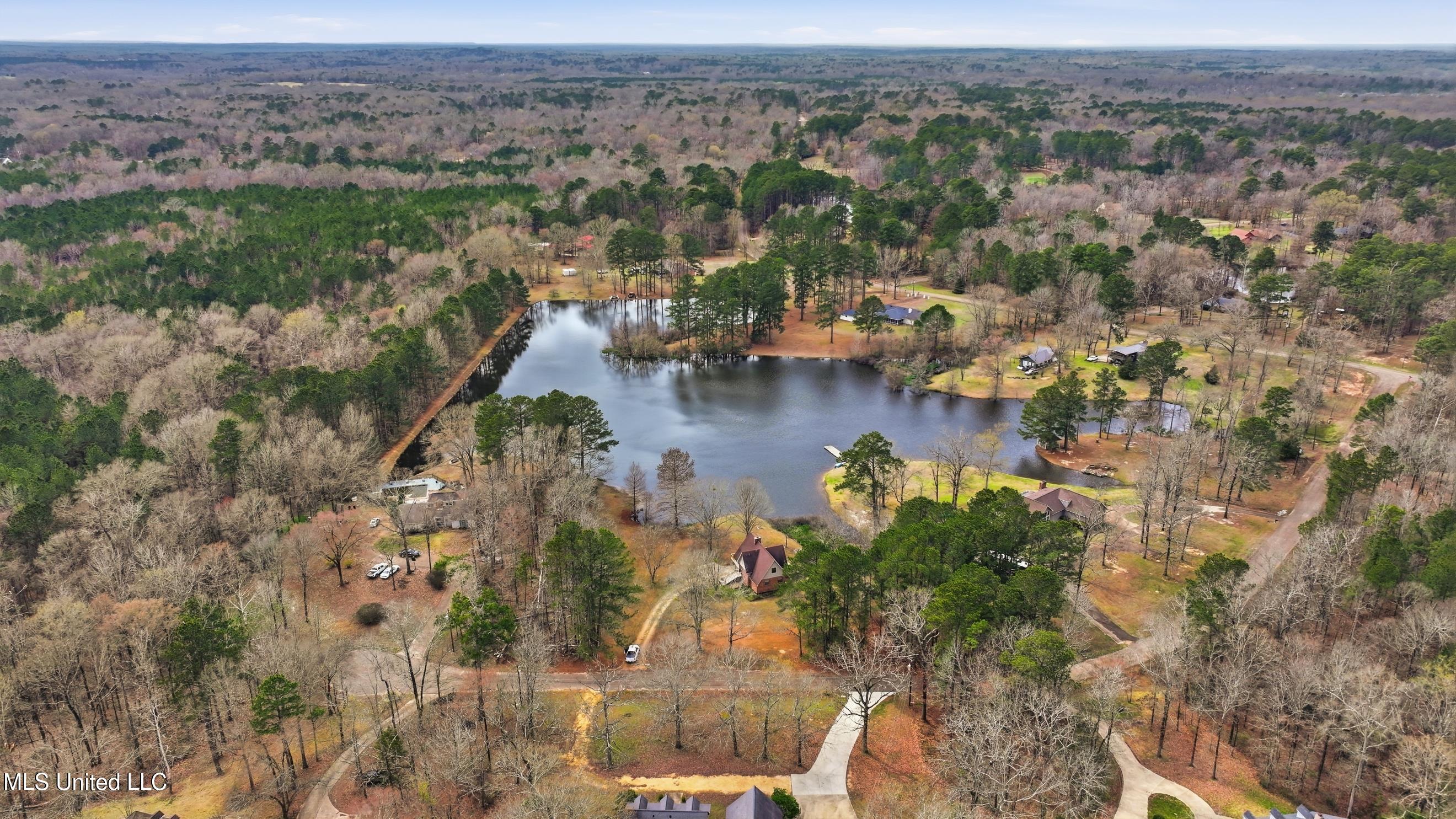 109 Springdale Drive Terry, MS 39170 - Photo 64 of 66 IMG_6668