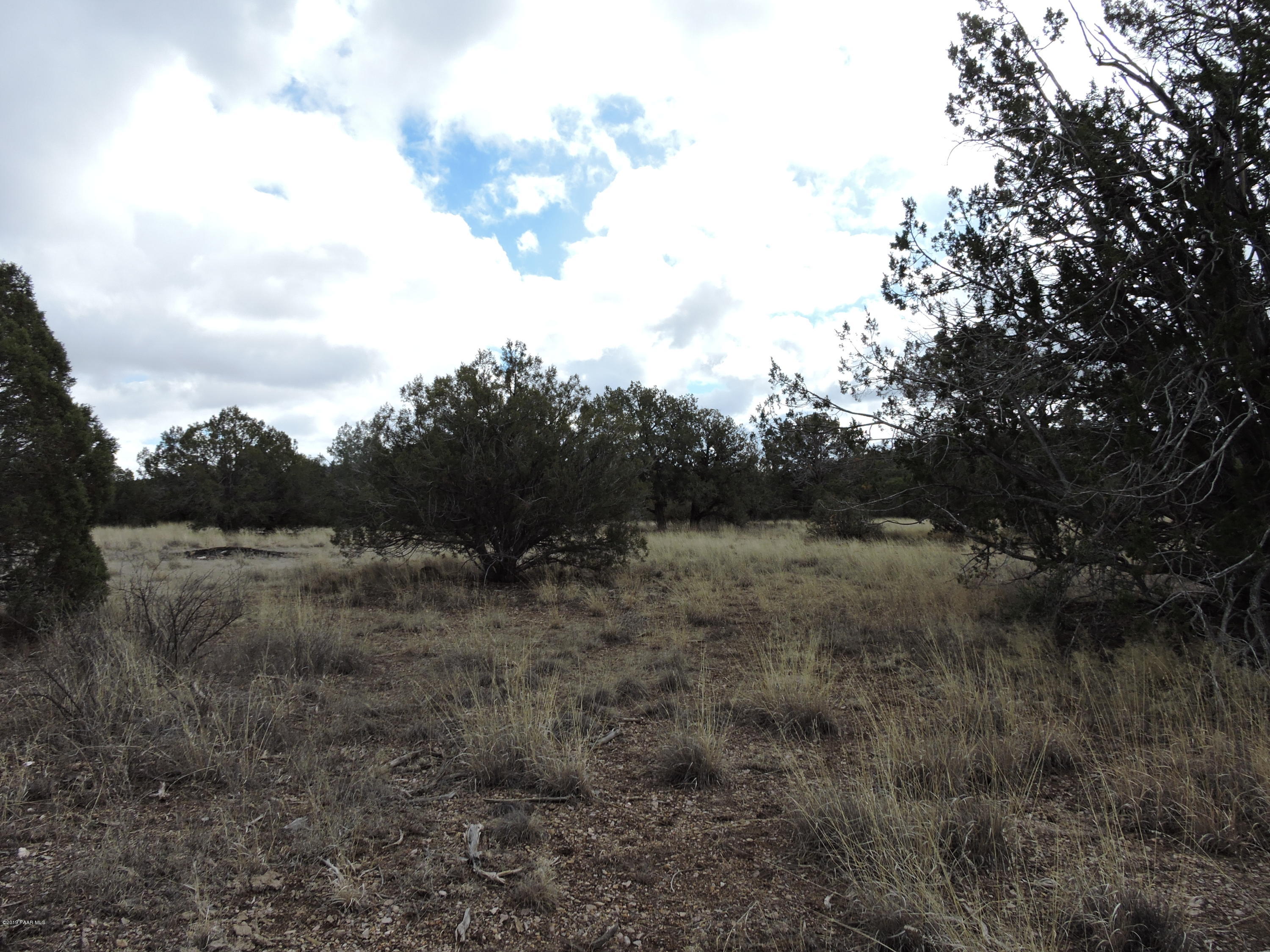 5131 Dillon Wash Road Prescott, AZ 86305 - Photo 5 of 21 DSCN2629