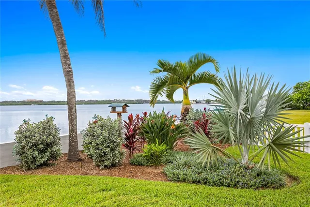 a view of a lake from a yard