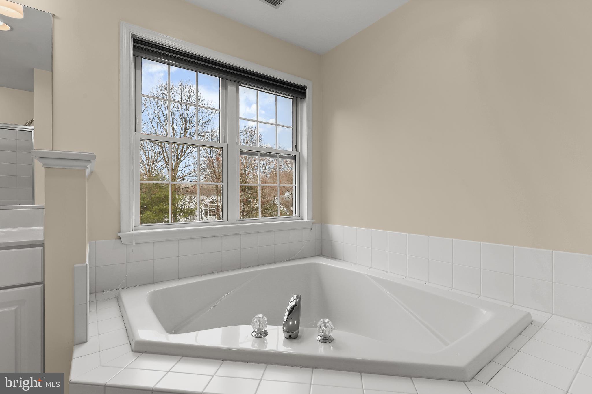 5063 Jericho Road Columbia, MD 21044 - Photo 43 of 77 Primary Bathroom