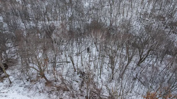 $467,500 | 0 Maplewood Lane, Alma, WI 54610