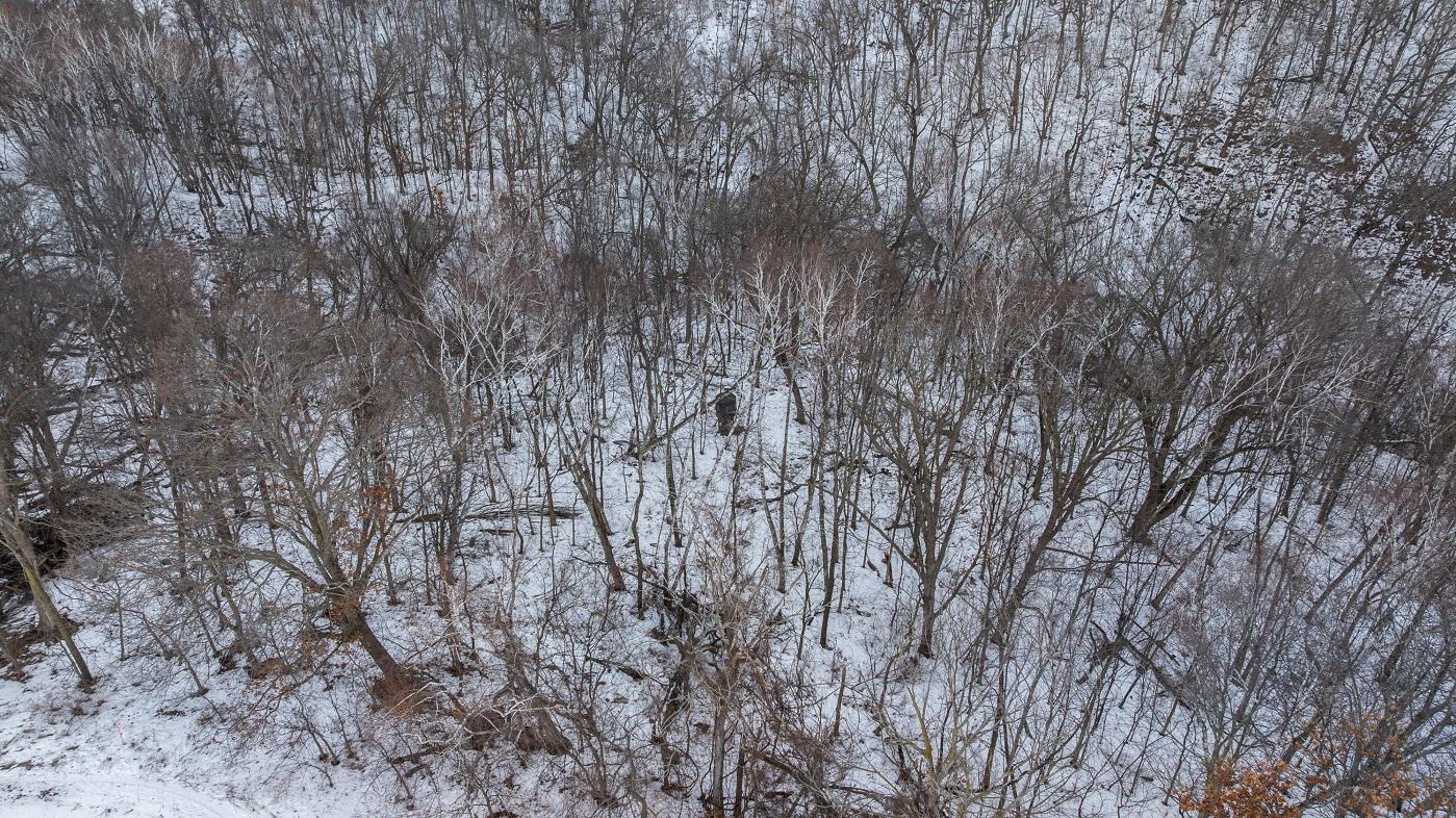 0 Maplewood Lane Alma, WI 54610 - Photo 12 of 21