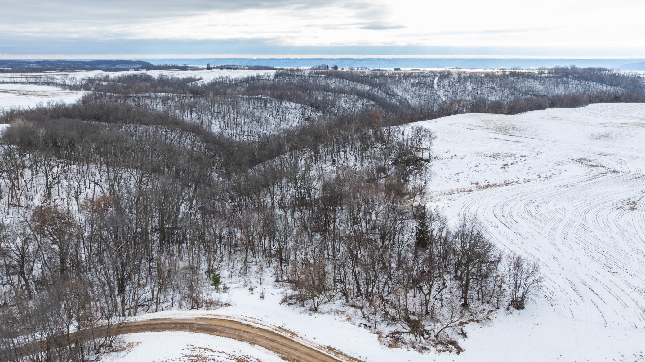 0 Maplewood Lane Alma, WI 54610 - Photo 15 of 21