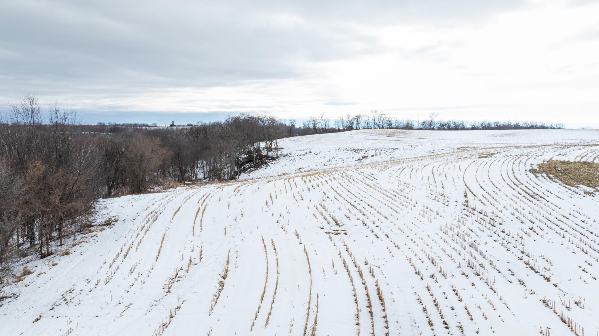0 Maplewood Lane Alma, WI 54610 - Photo 17 of 21
