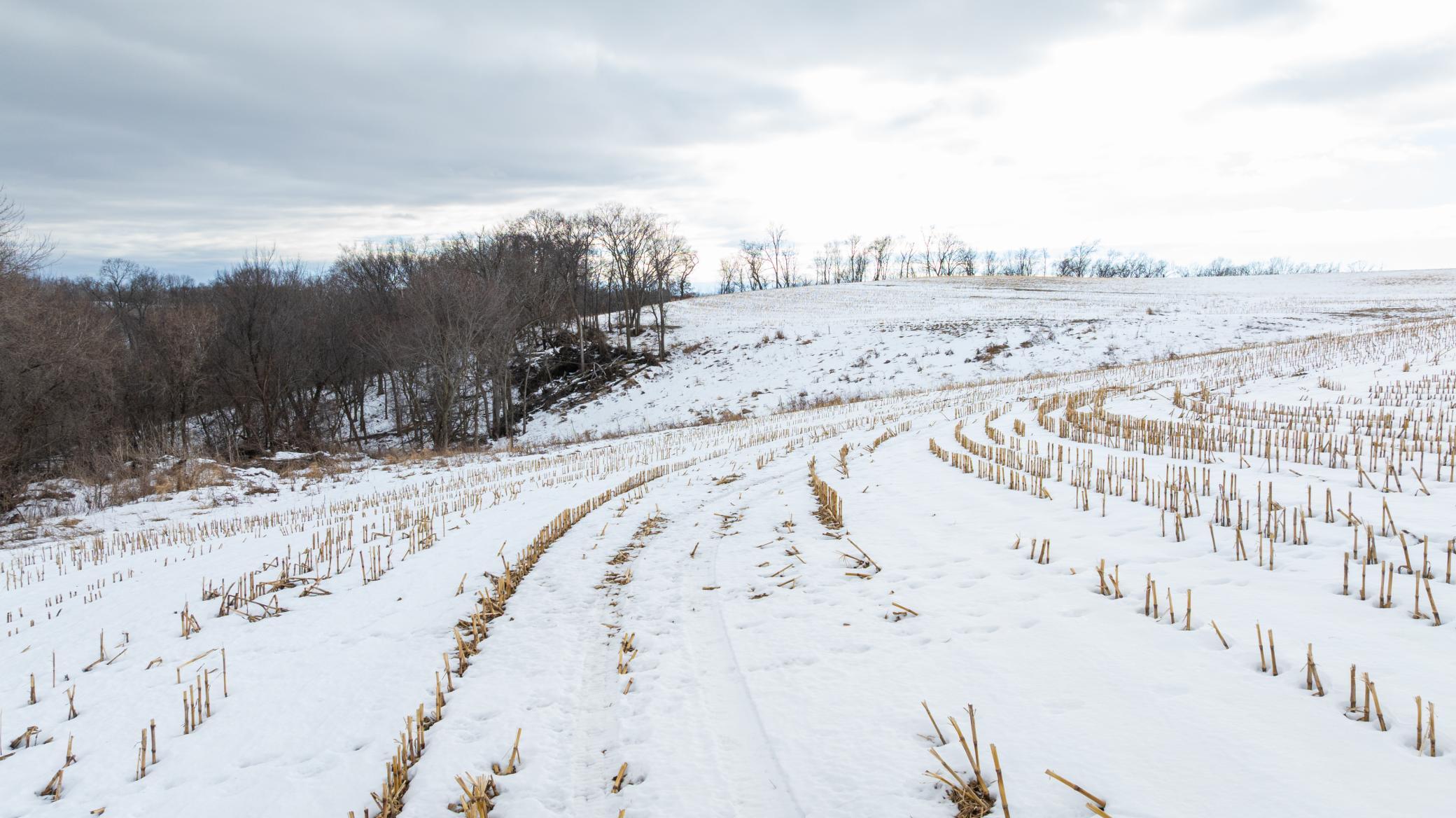 0 Maplewood Lane Alma, WI 54610 - Photo 18 of 21