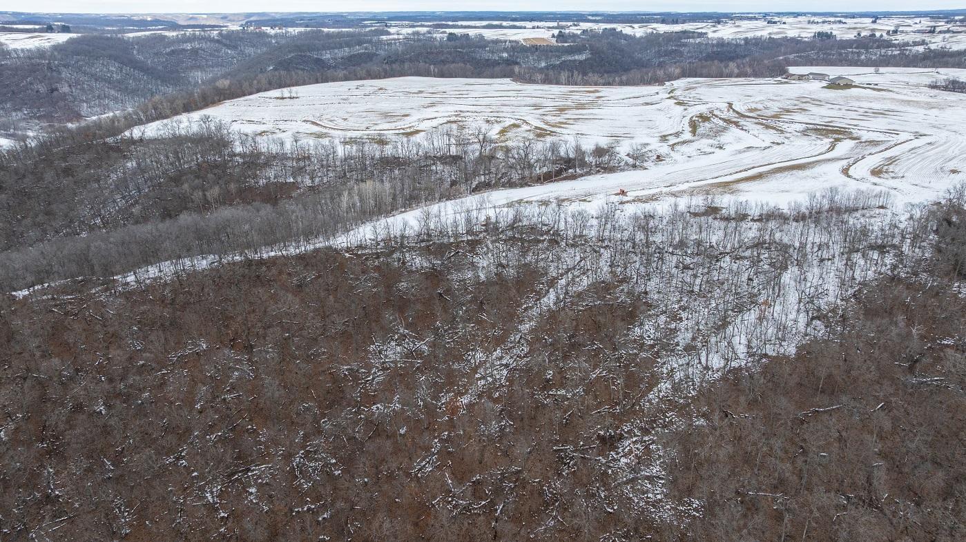 0 Maplewood Lane Alma, WI 54610 - Photo 6 of 21