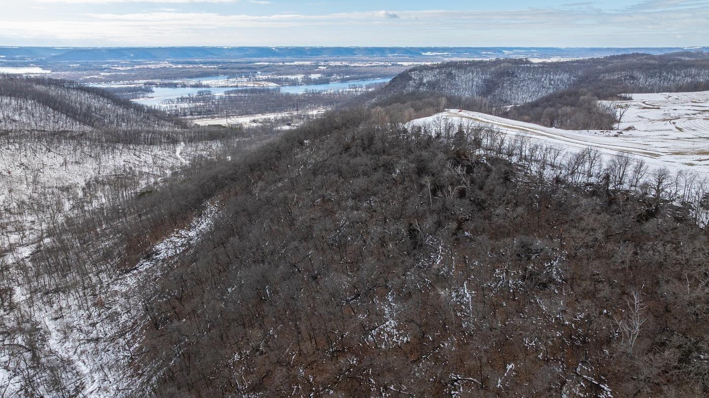 0 Maplewood Lane Alma, WI 54610 - Photo 10 of 21