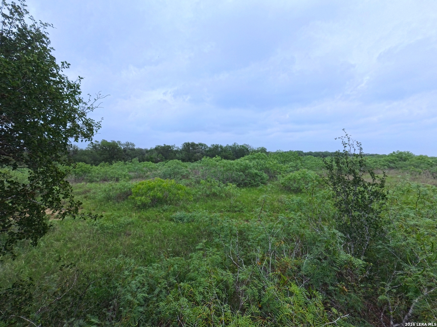467 County Road 467 Elgin, TX 78621 - Photo 25 of 26