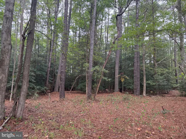 $325,000 | 24420 Ocean Gateway, Mardela Springs, MD 21837