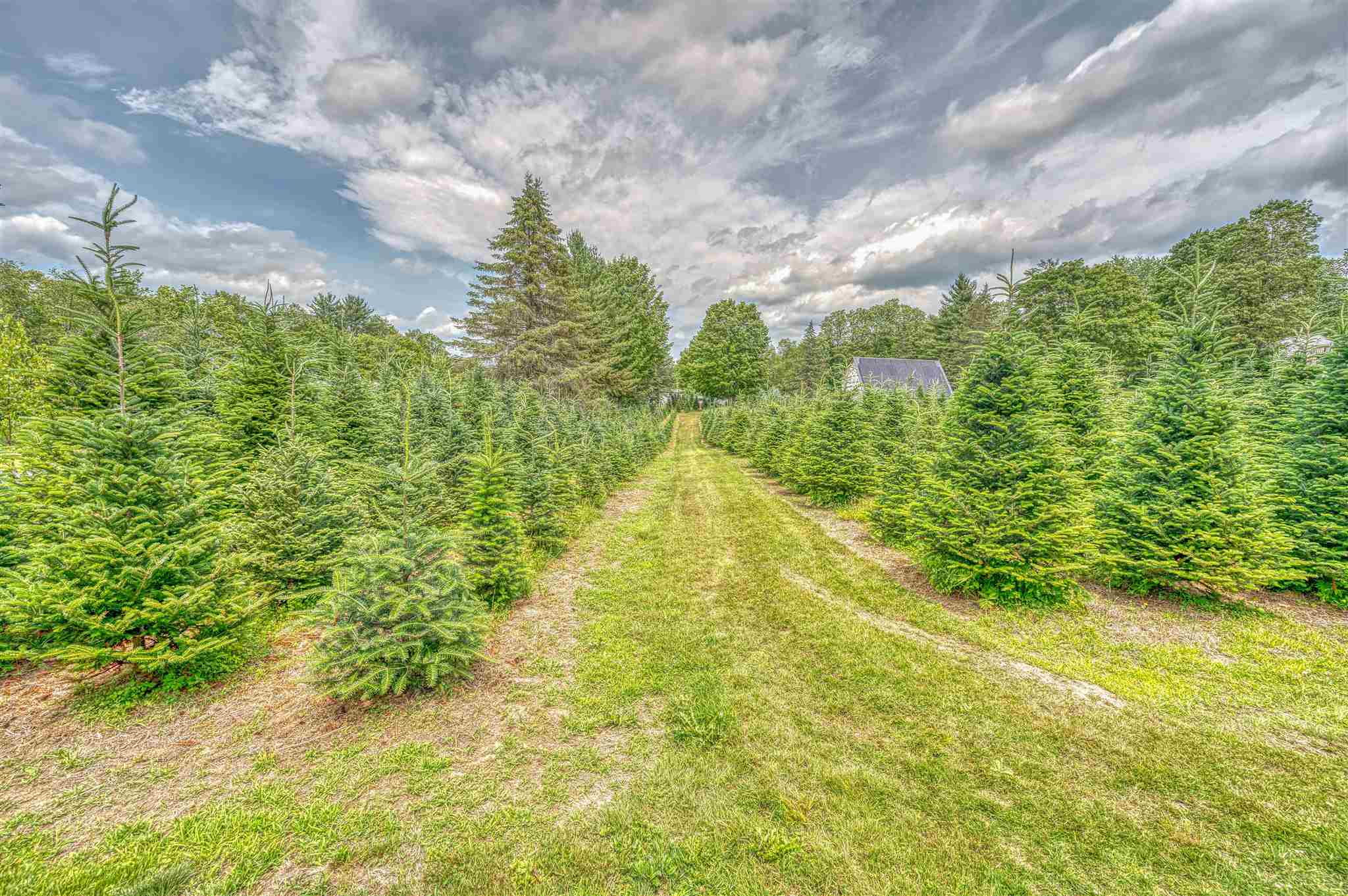 2014 Country Club Road Plainfield, VT 05667 - Photo 6 of 37