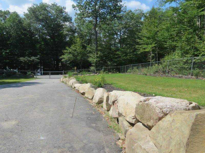 450 Cape Monday Road Harrison, ME 04040 - Photo 21 of 32 Yard/Garden. Along driveway