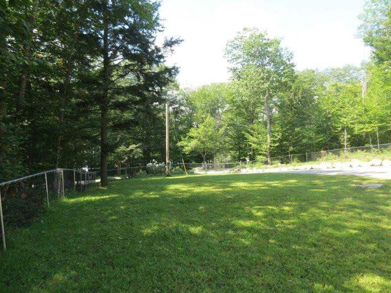 450 Cape Monday Road Harrison, ME 04040 - Photo 22 of 32 Yard/Garden.