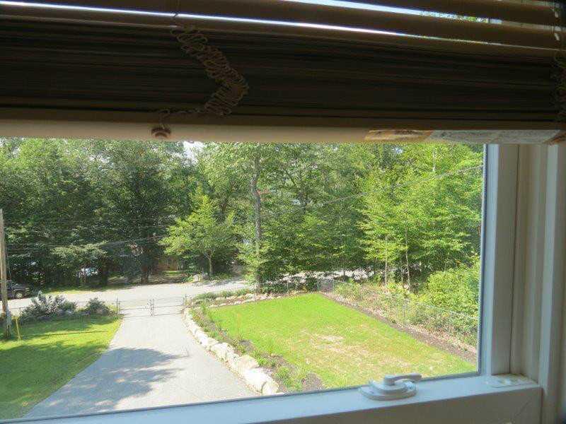 450 Cape Monday Road Harrison, ME 04040 - Photo 29 of 32 Yard/Garden. View of front yard from...