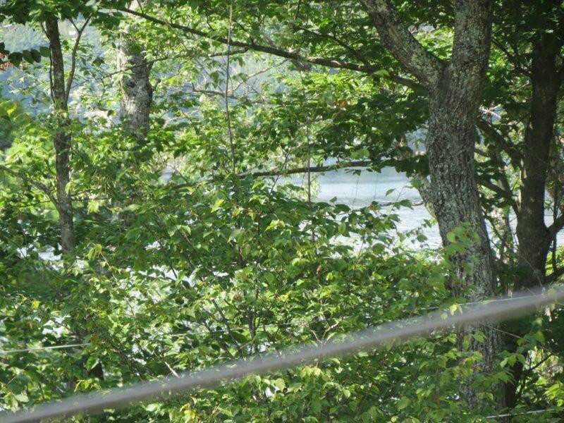450 Cape Monday Road Harrison, ME 04040 - Photo 31 of 32 View. Water view from bedroom in...