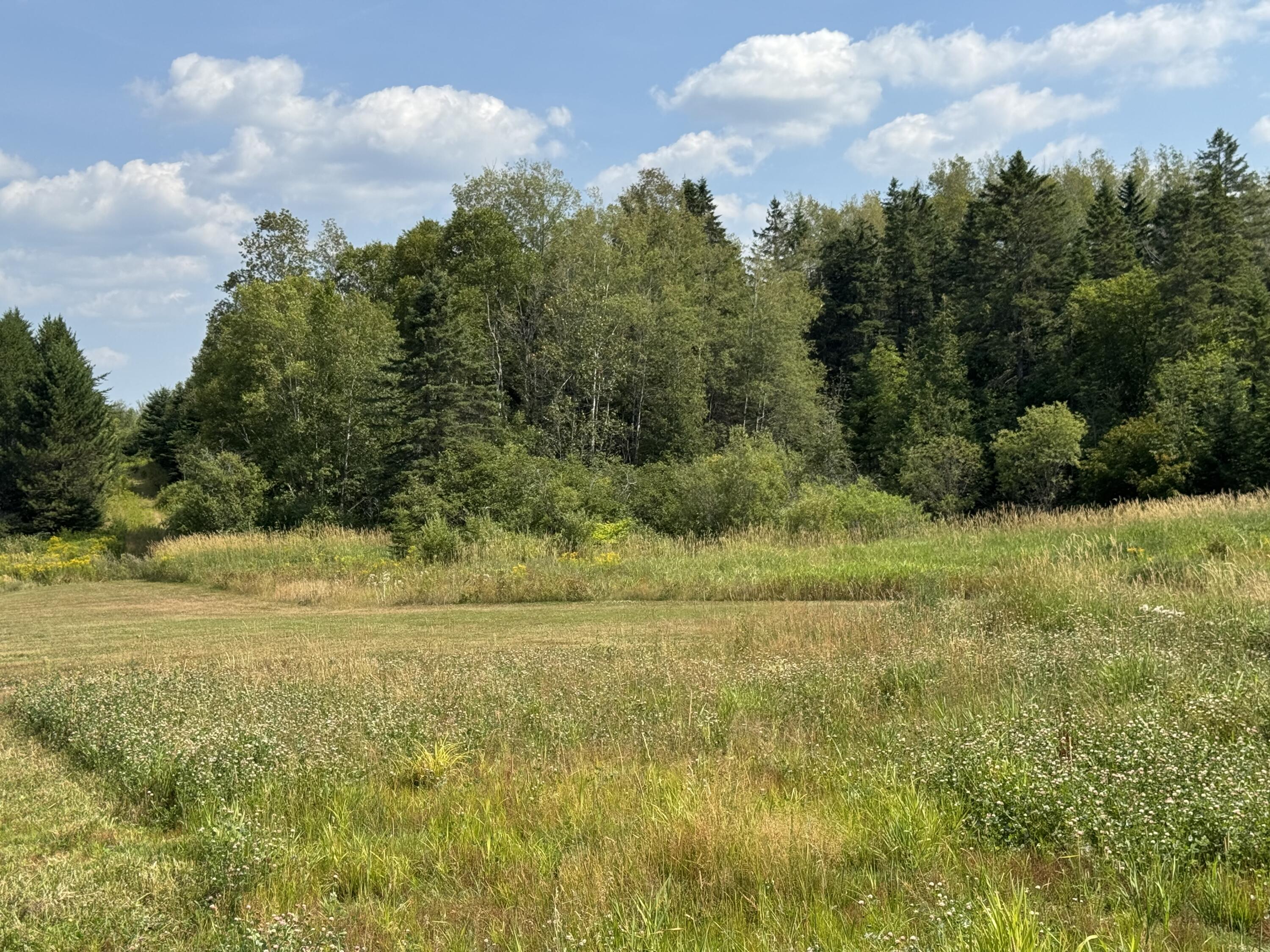 6 Vaillancourt Hill Road Van Buren, ME 04785 - Photo 15 of 88 IMG_2475