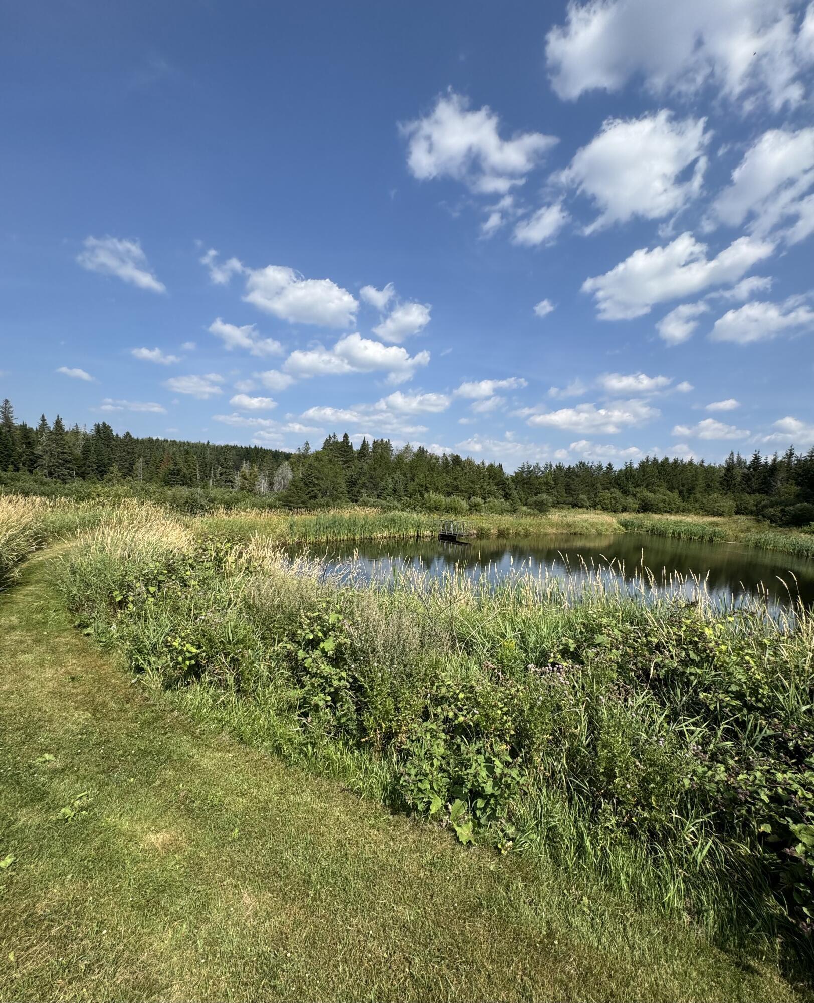 6 Vaillancourt Hill Road Van Buren, ME 04785 - Photo 19 of 88 IMG_2481
