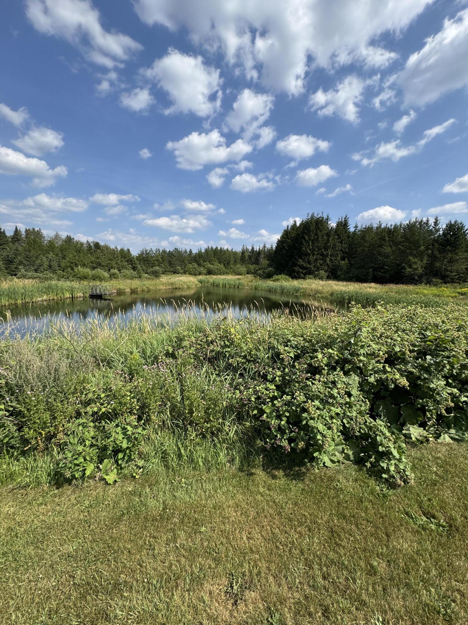 6 Vaillancourt Hill Road Van Buren, ME 04785 - Photo 20 of 88 IMG_2482