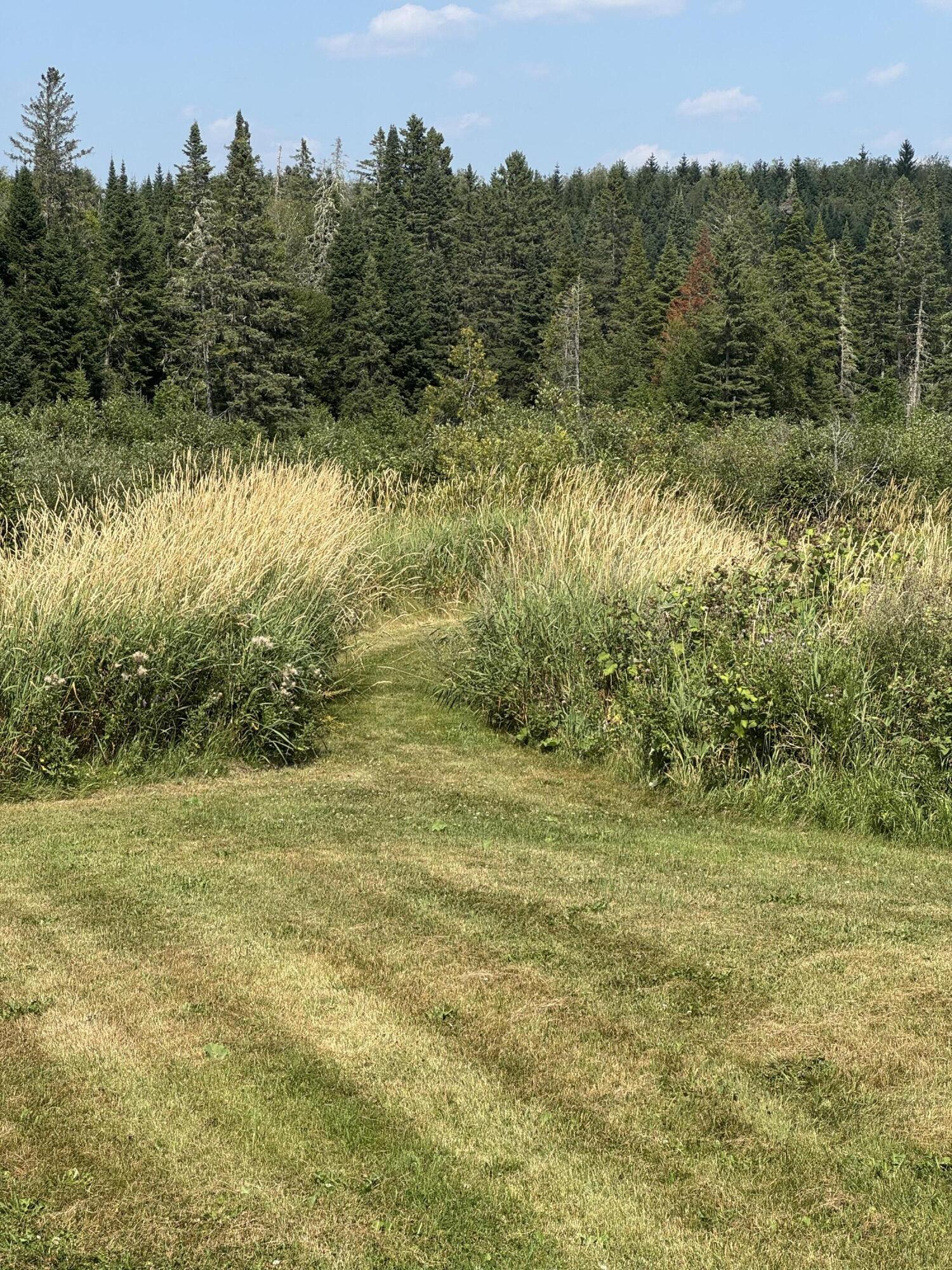 6 Vaillancourt Hill Road Van Buren, ME 04785 - Photo 23 of 88 IMG_2479