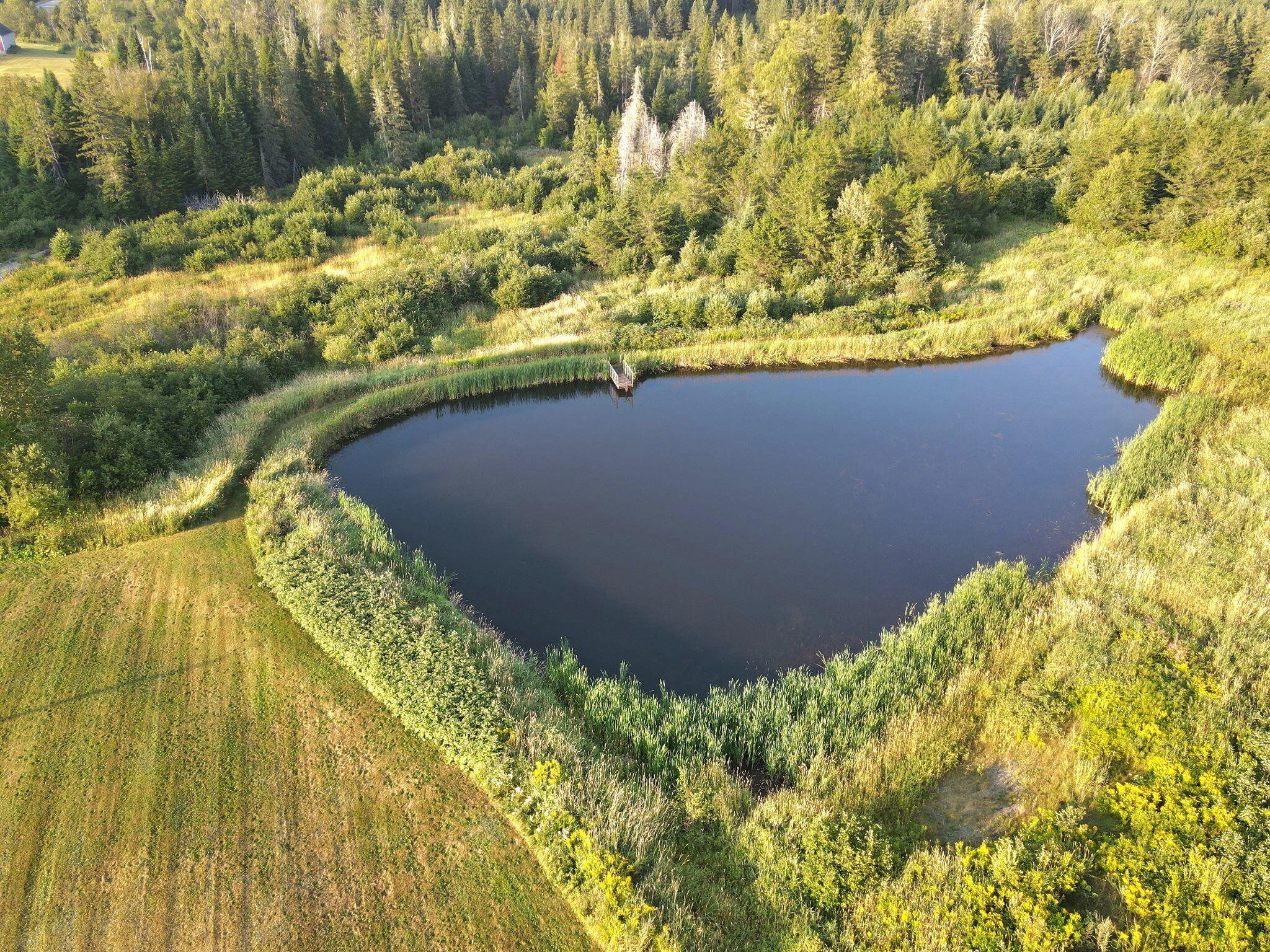 6 Vaillancourt Hill Road Van Buren, ME 04785 - Photo 35 of 88 3435386374417055796