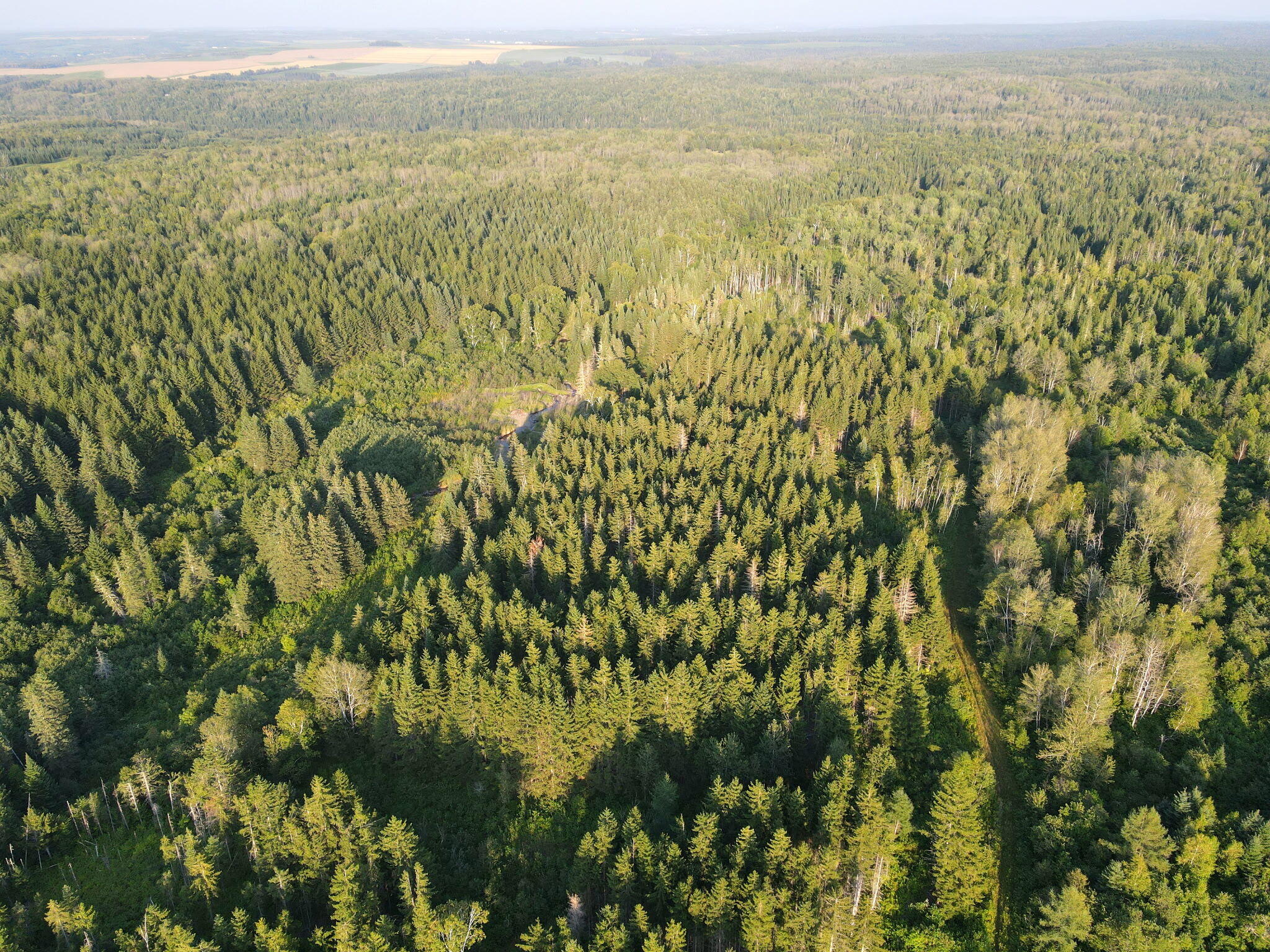 6 Vaillancourt Hill Road Van Buren, ME 04785 - Photo 36 of 88 1947559831129029907