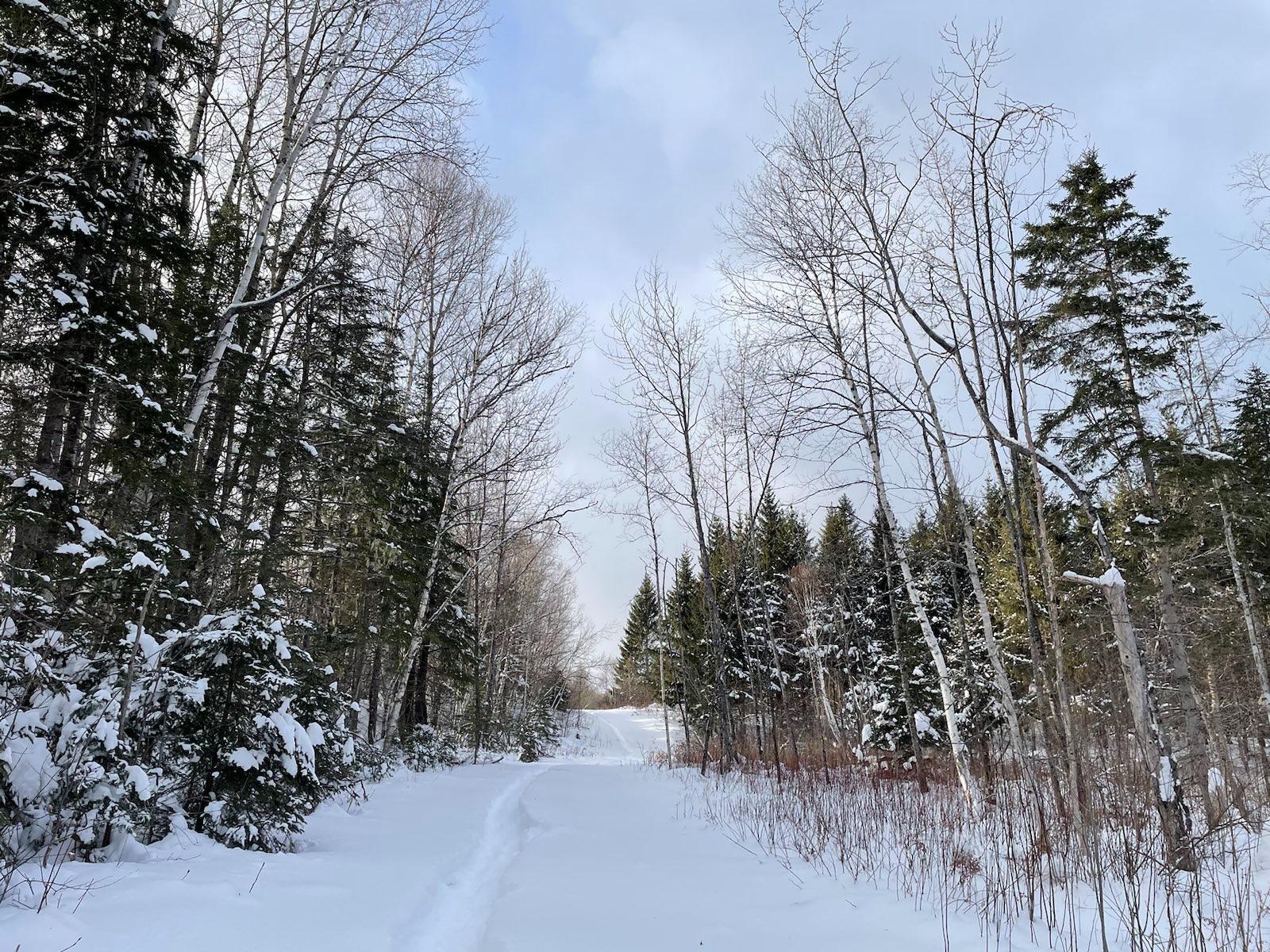 6 Vaillancourt Hill Road Van Buren, ME 04785 - Photo 83 of 88 signal-2024-01-18-163143_003