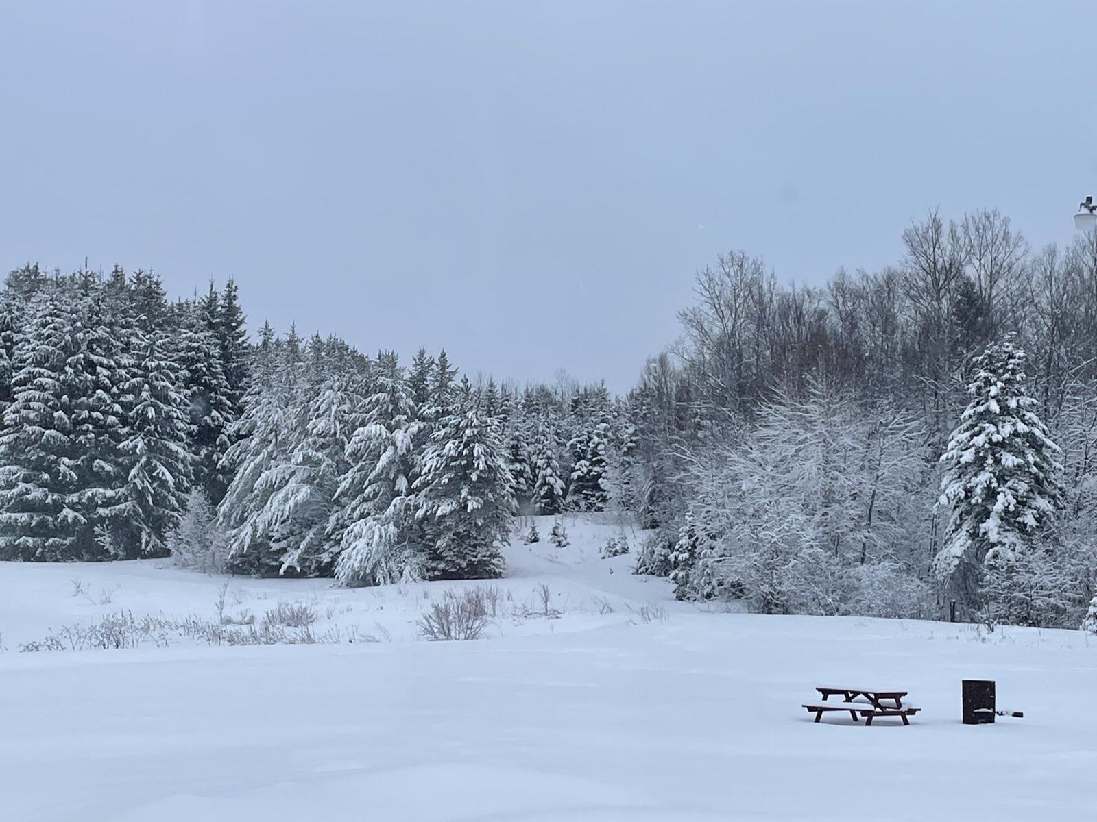 6 Vaillancourt Hill Road Van Buren, ME 04785 - Photo 86 of 88 signal-2025-04-10-065955_015