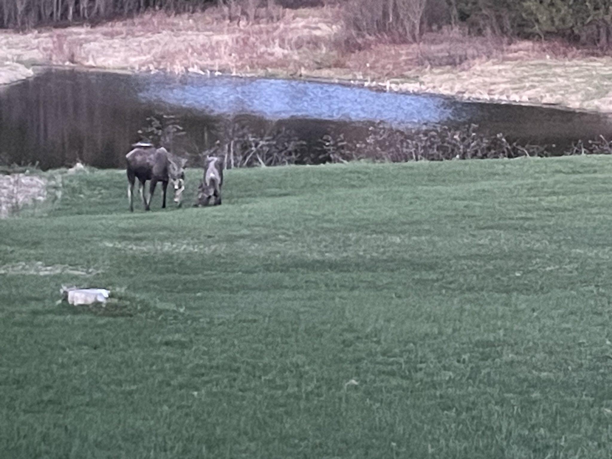 6 Vaillancourt Hill Road Van Buren, ME 04785 - Photo 87 of 88 IMG_1494