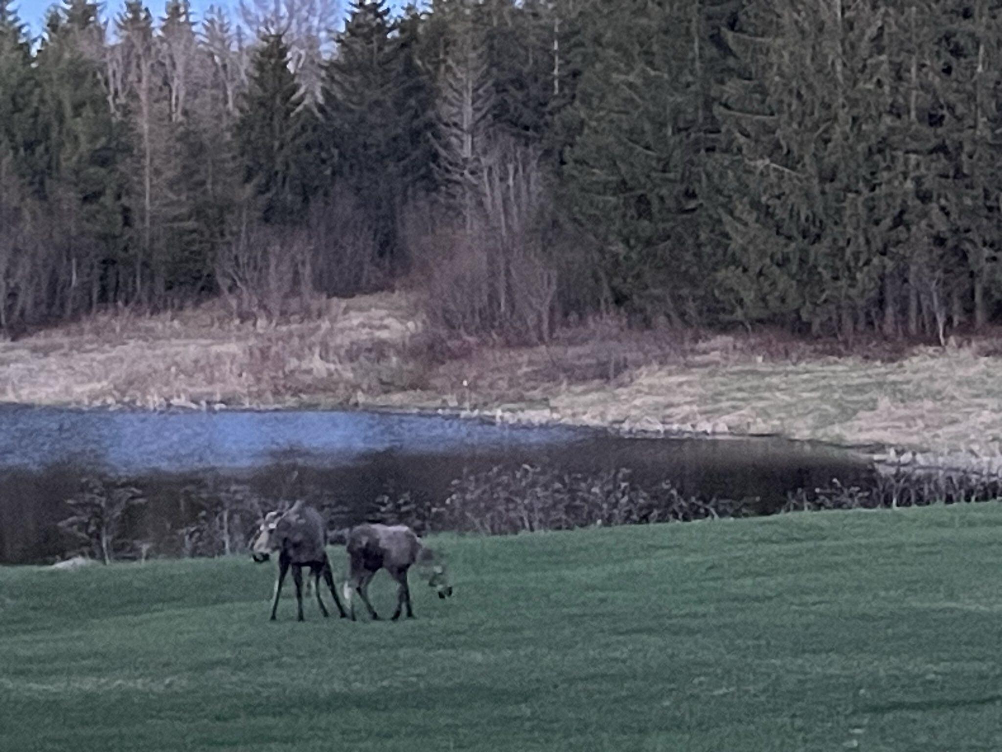 6 Vaillancourt Hill Road Van Buren, ME 04785 - Photo 88 of 88 IMG_1503