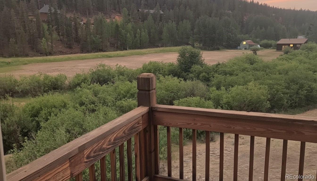 606 North Random Road Bailey, CO 80421 - Photo 11 of 14